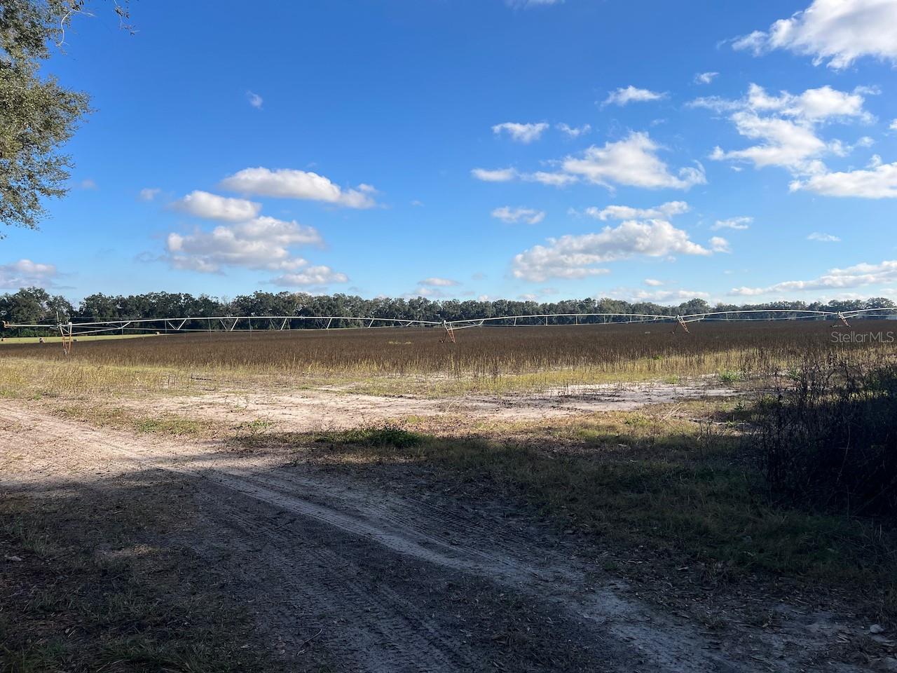 NE 150 ST, TRENTON, FL — photo 5