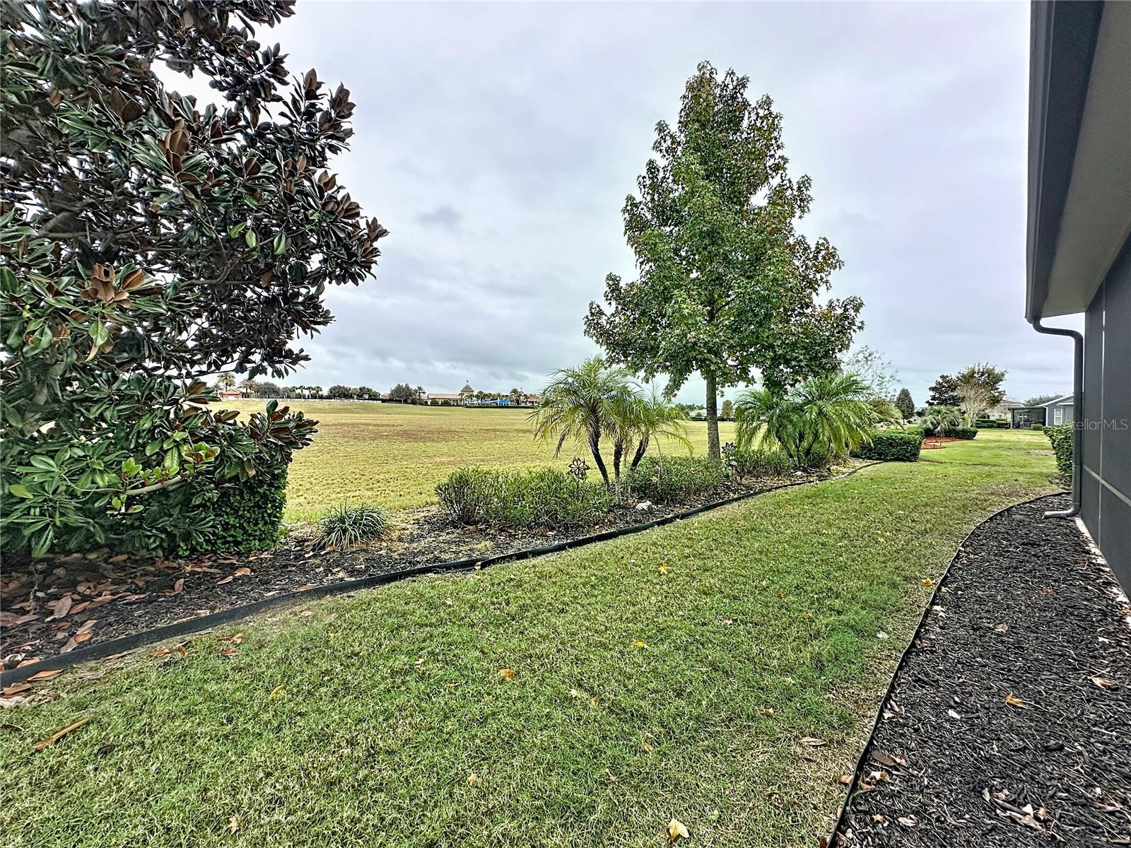 107 BALMY COAST RD, GROVELAND, FL — photo 133