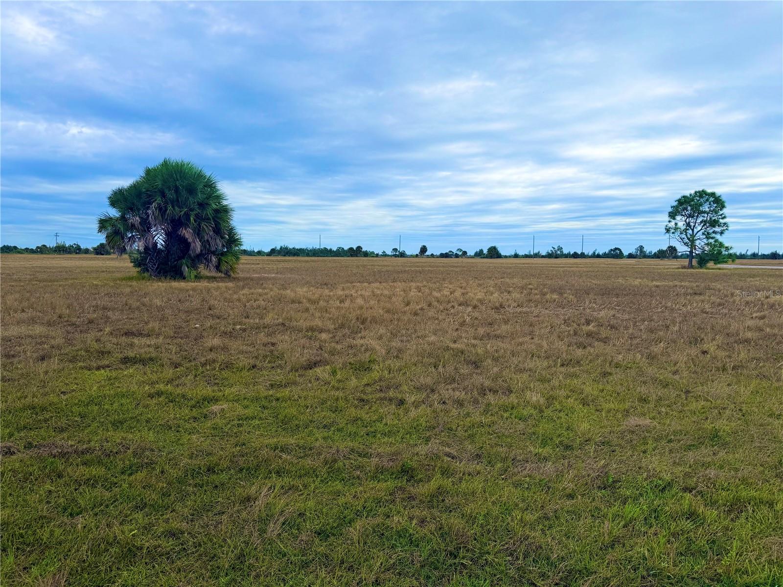 106 WREN DR, PLACIDA, FL