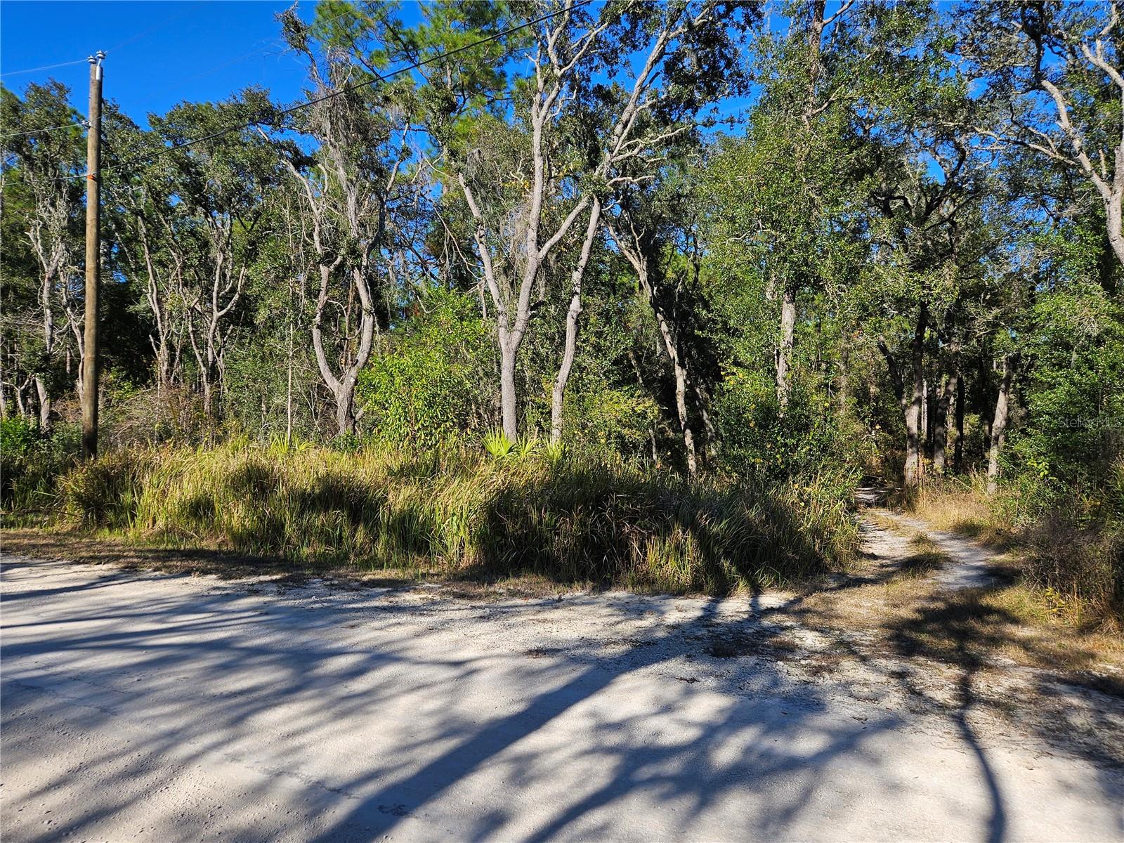 BERRYHILL DR, WEBSTER, FL