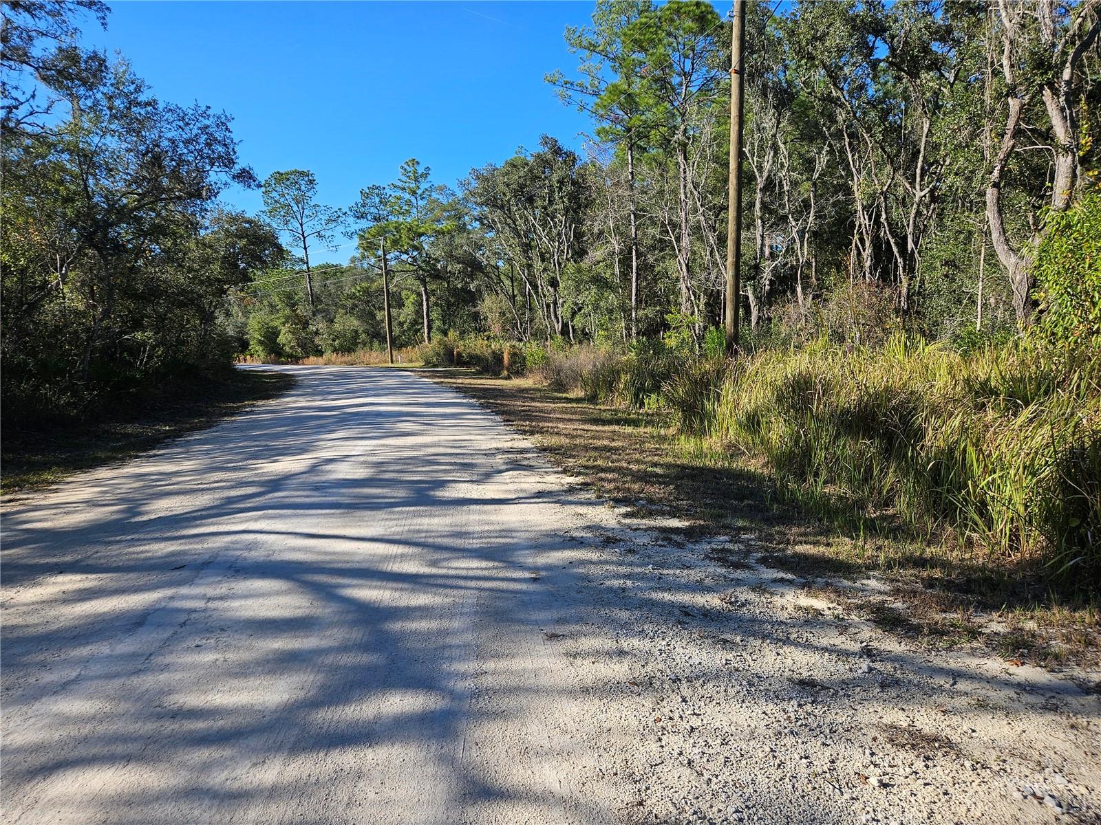 BERRYHILL DR, WEBSTER, FL — photo 2