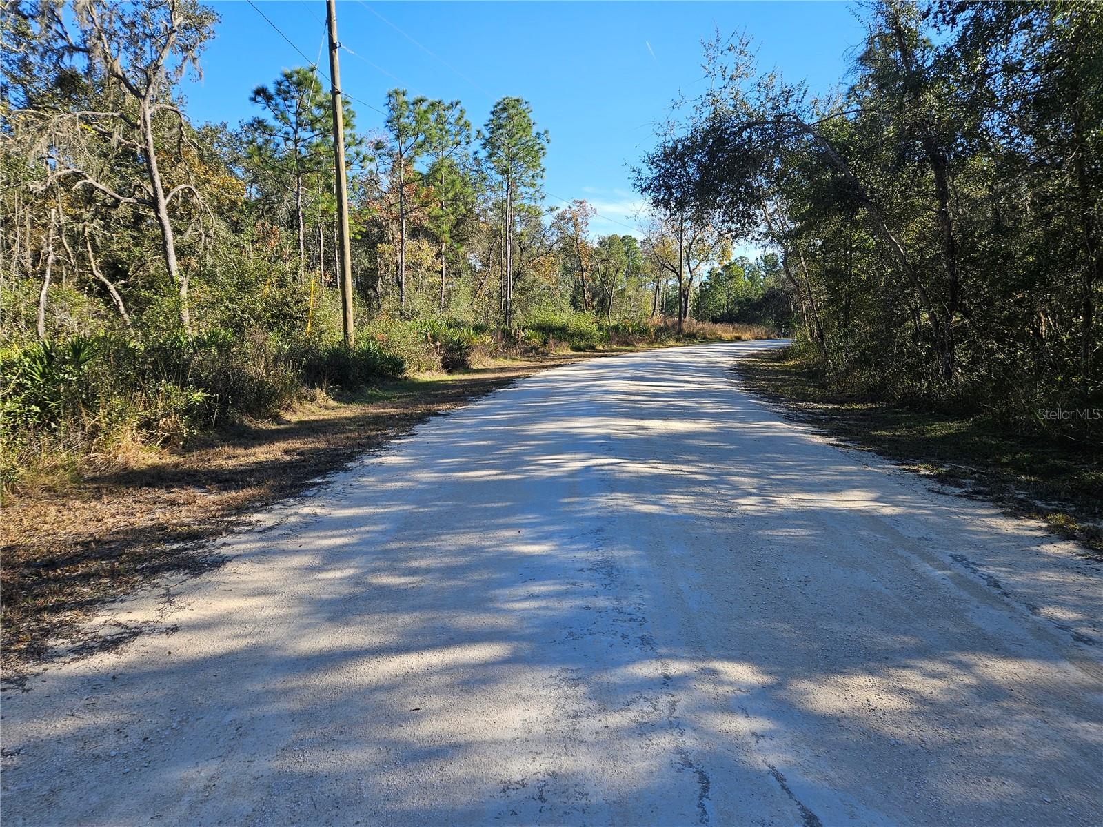 BERRYHILL DR, WEBSTER, FL — photo 3