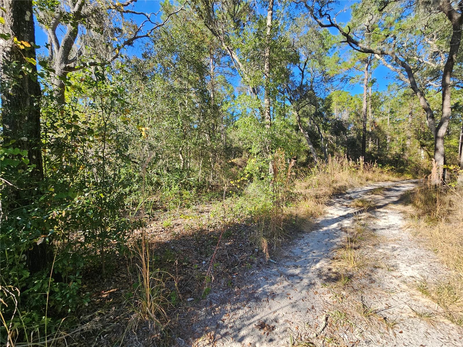 BERRYHILL DR, WEBSTER, FL — photo 4