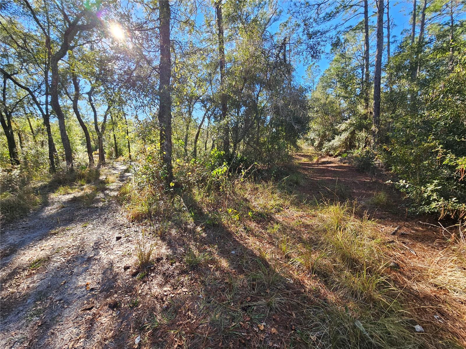 BERRYHILL DR, WEBSTER, FL — photo 6