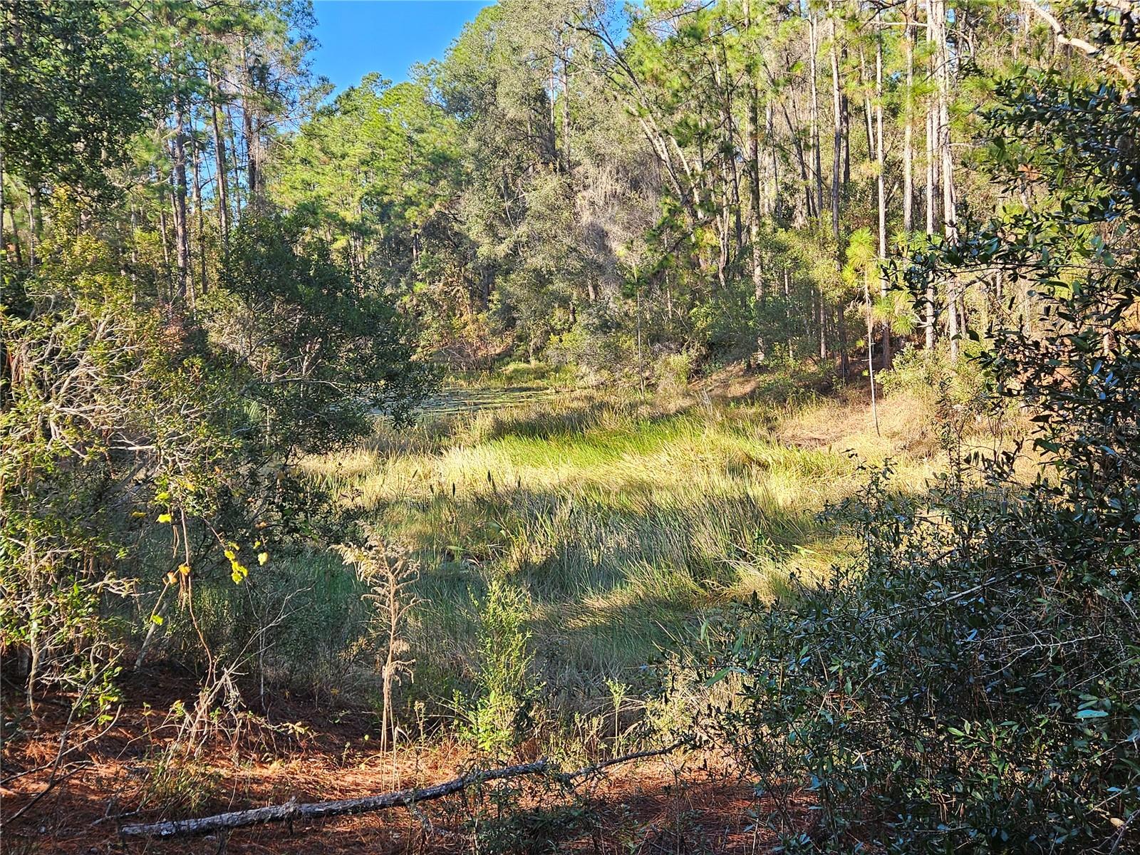BERRYHILL DR, WEBSTER, FL — photo 7