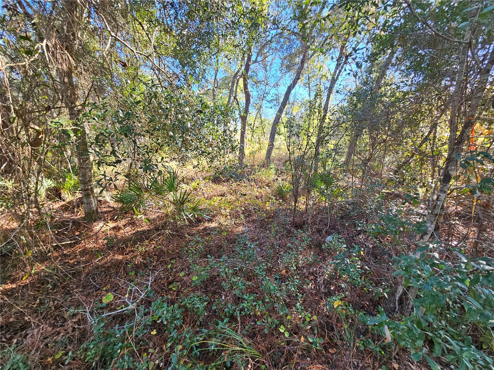 BERRYHILL DR, WEBSTER, FL — photo 10