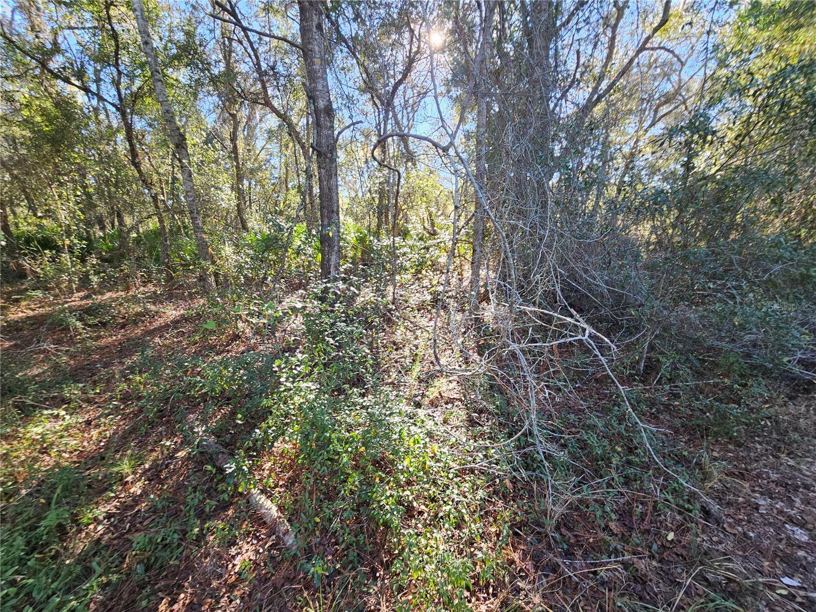 BERRYHILL DR, WEBSTER, FL — photo 11