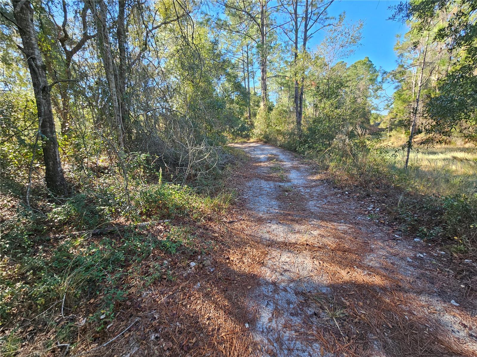 BERRYHILL DR, WEBSTER, FL — photo 12
