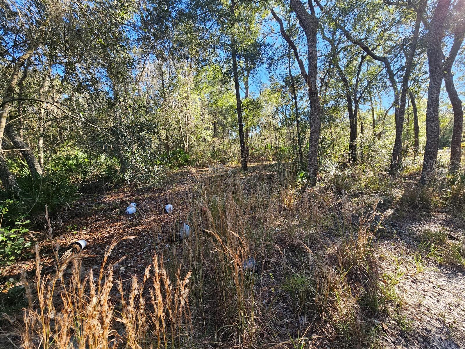BERRYHILL DR, WEBSTER, FL — photo 14