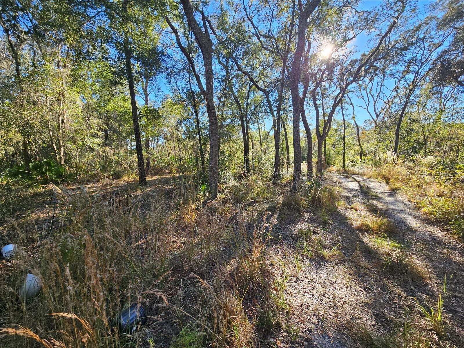 BERRYHILL DR, WEBSTER, FL — photo 15