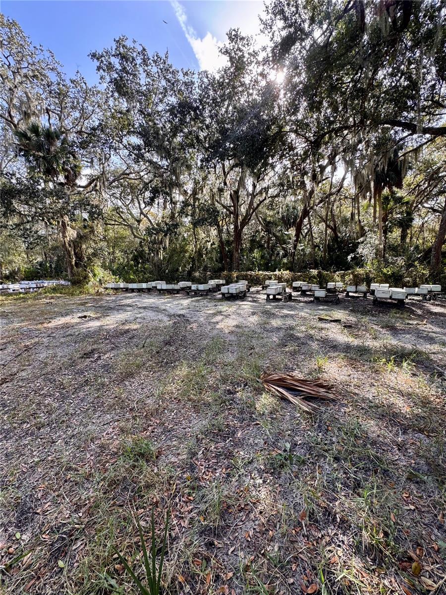 480 CLINTON CEMETERY RD, EDGEWATER, FL — photo 24