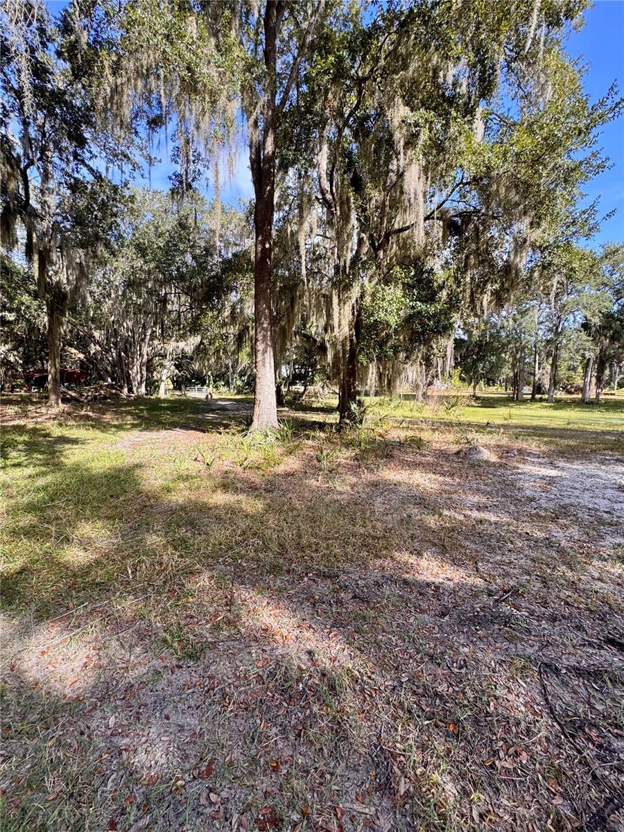 480 CLINTON CEMETERY RD, EDGEWATER, FL — photo 26
