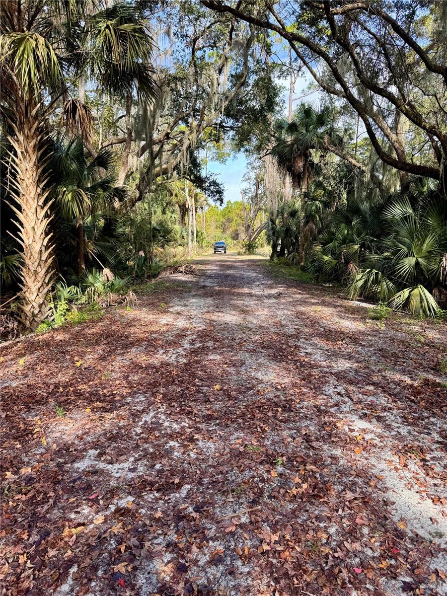 480 CLINTON CEMETERY RD, EDGEWATER, FL — photo 27