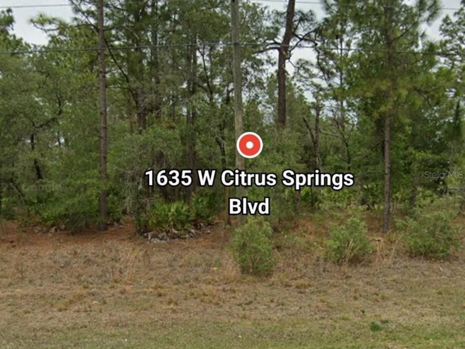 1635 W CITRUS SPRINGS BLVD, CITRUS SPRINGS, FL — photo 2