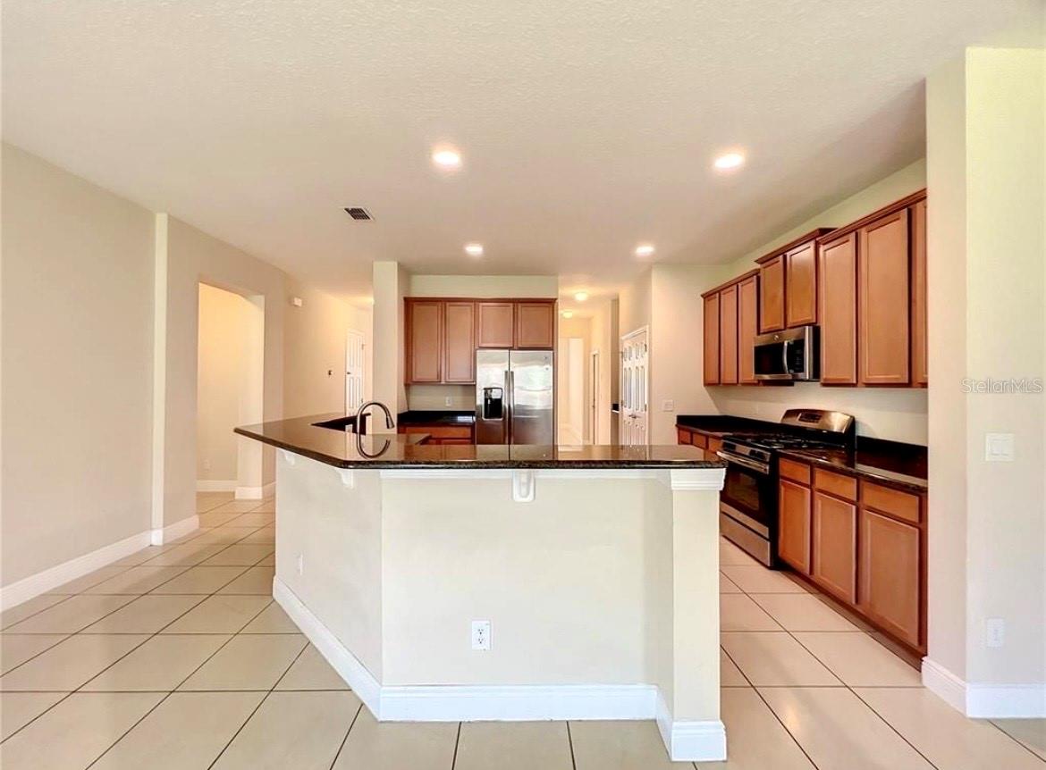 14517 BLACK LAKE PRESERVE ST, WINTER GARDEN, FL — photo 10