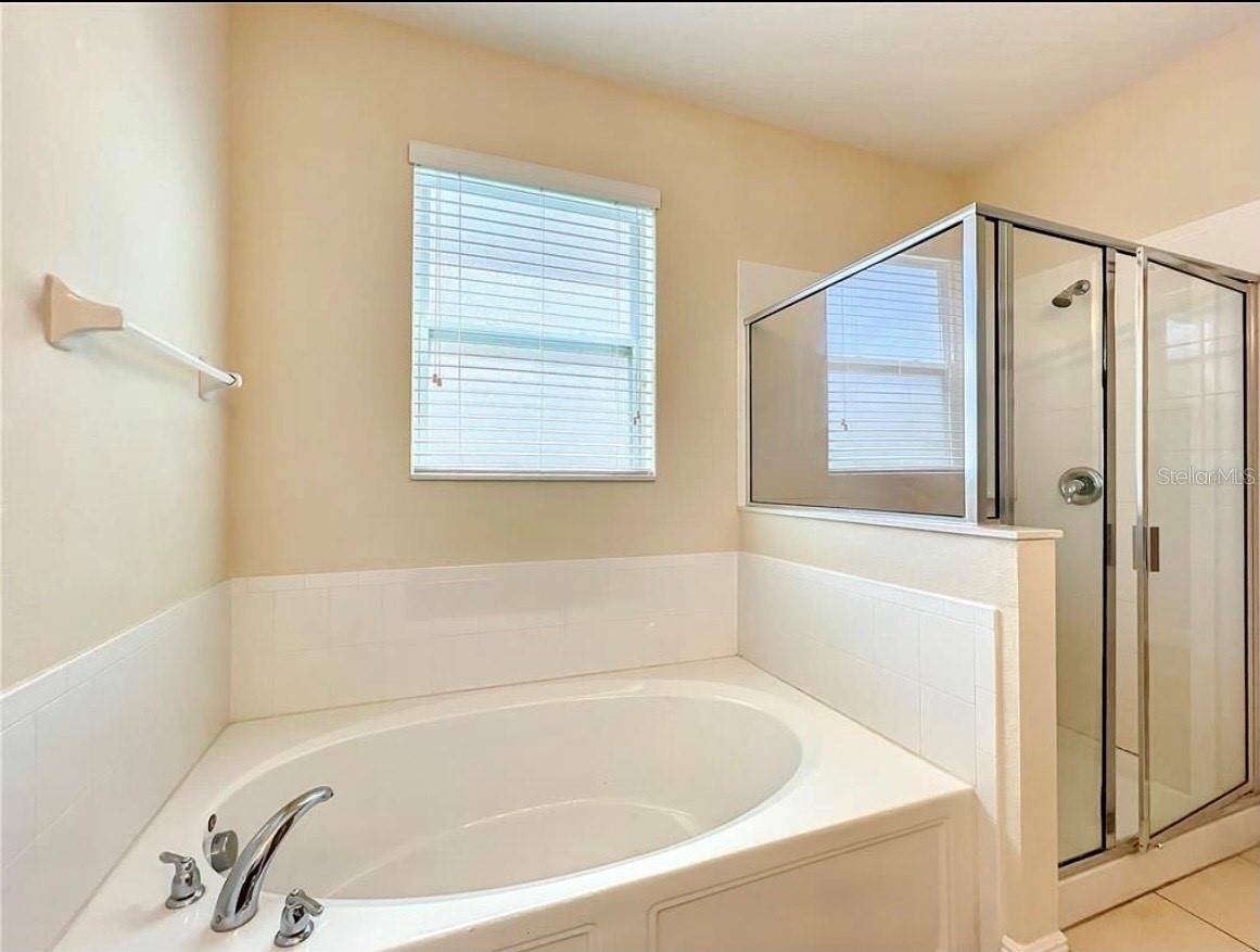 14517 BLACK LAKE PRESERVE ST, WINTER GARDEN, FL — photo 29