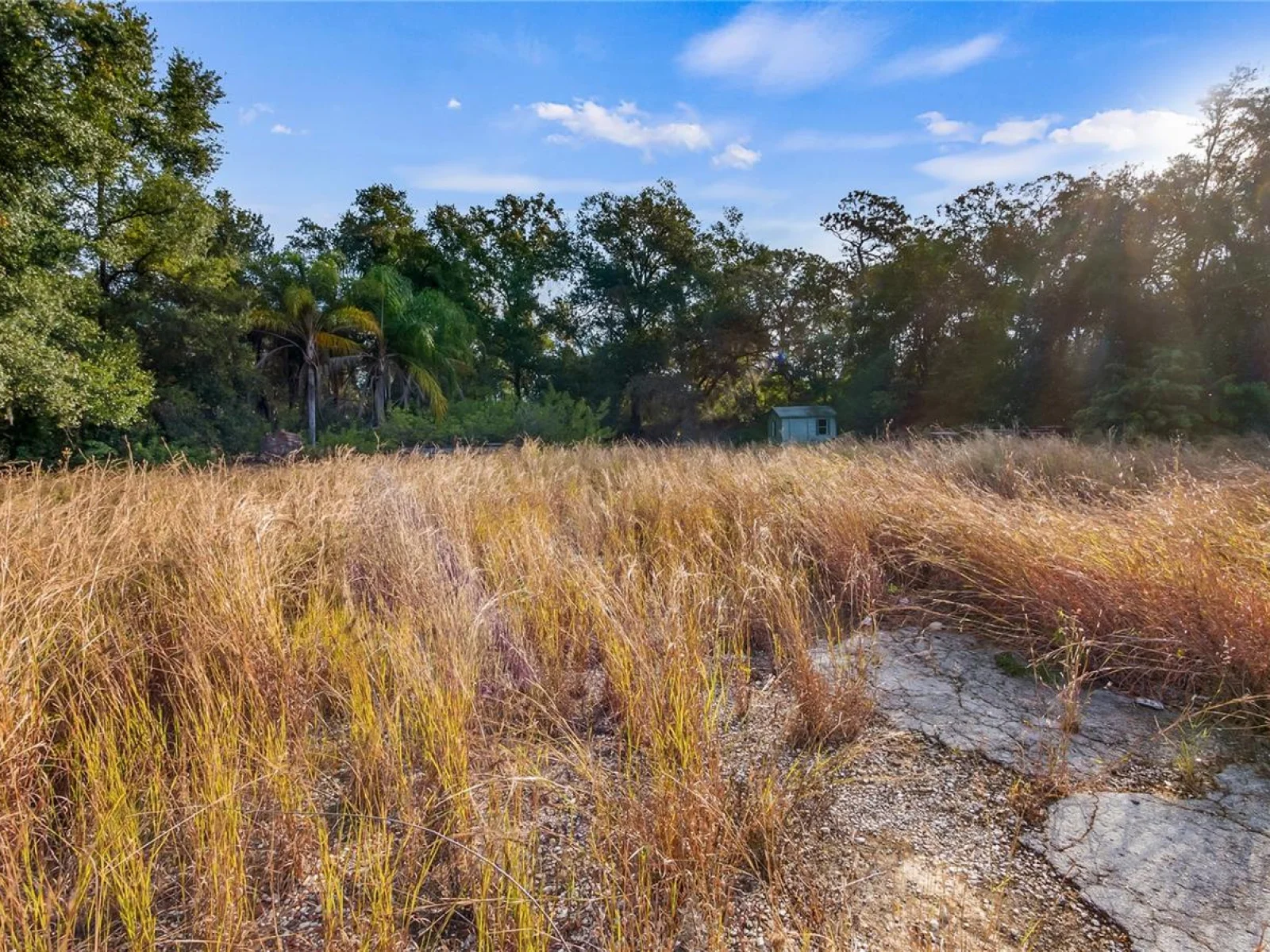 515 US HIGHWAY 27, CLERMONT, FL — photo 33