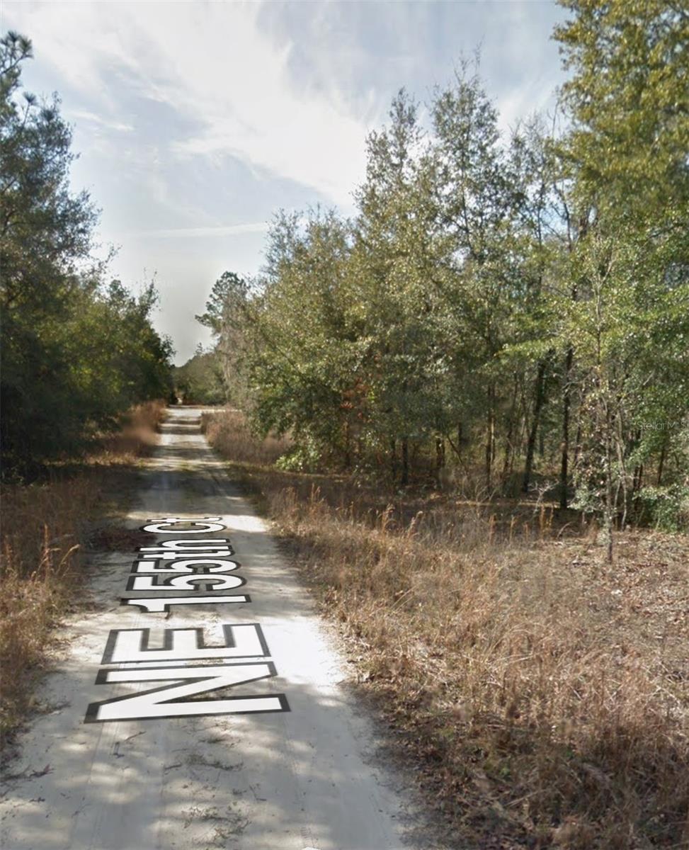 NE 155TH CT, WILLISTON, FL — photo 5