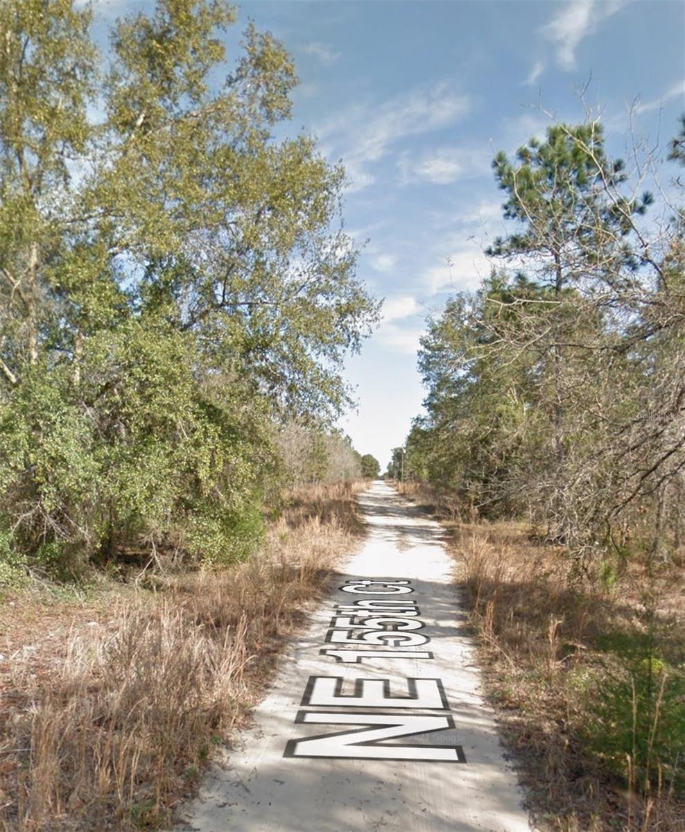 NE 155TH CT, WILLISTON, FL — photo 8