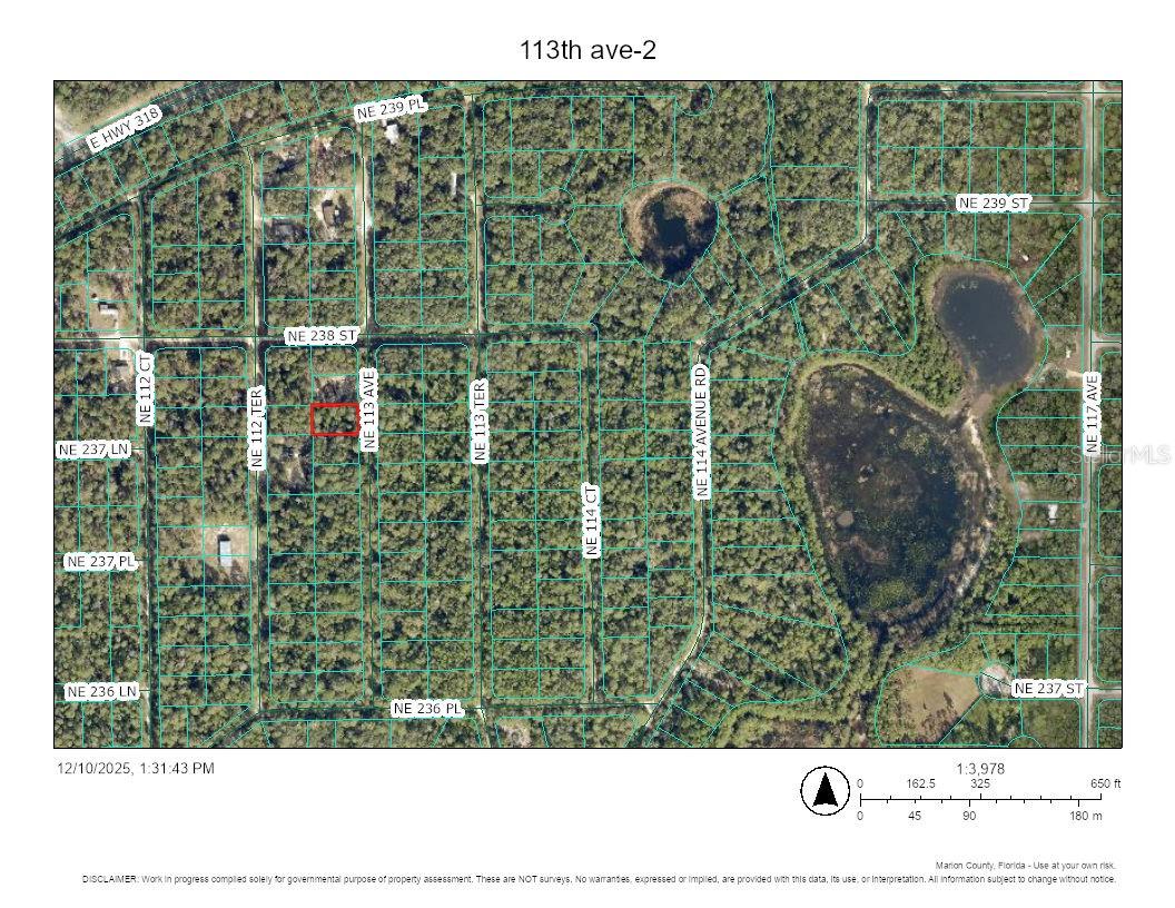 TBD NE 113TH AVE, FORT MC COY, FL