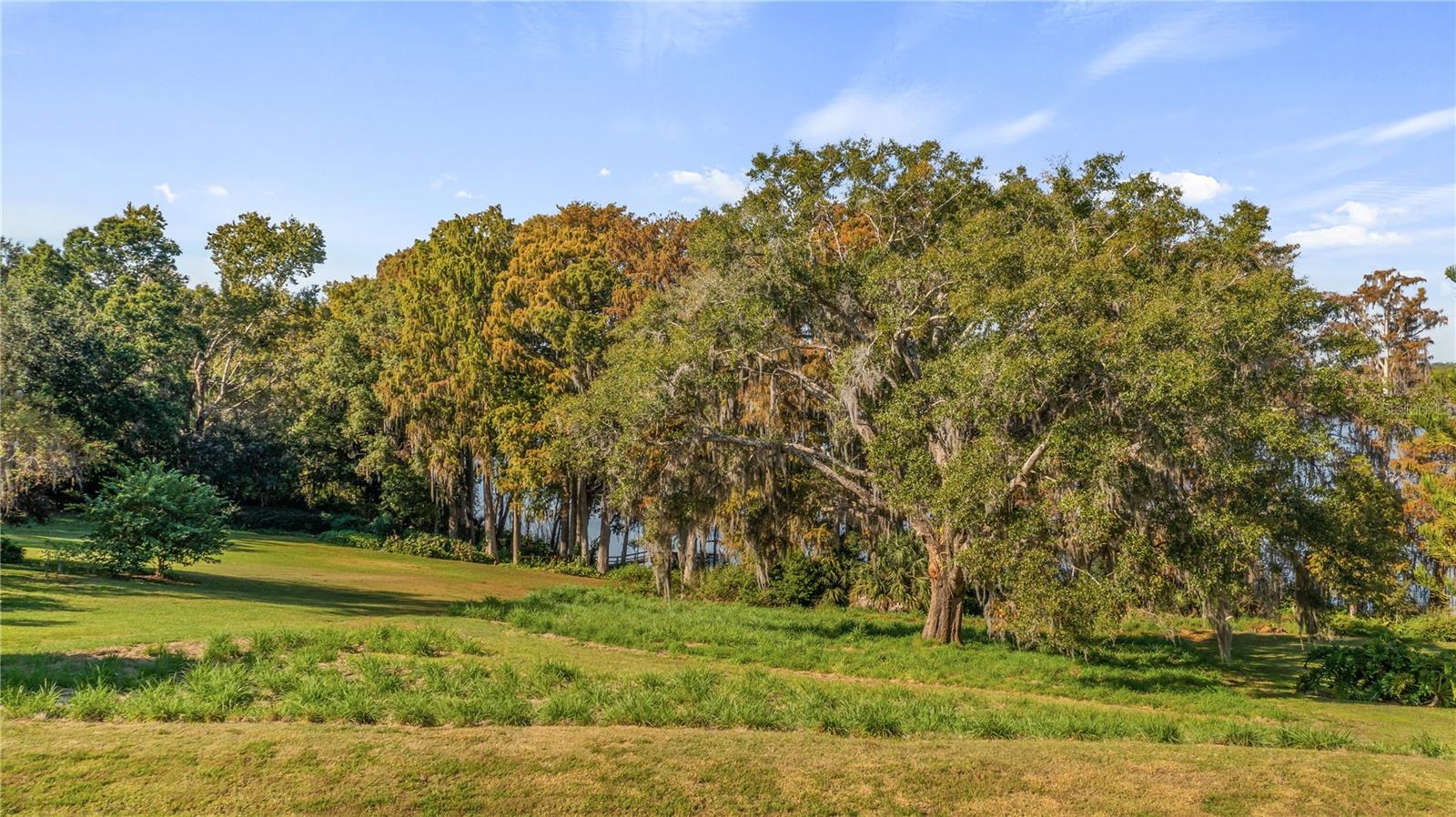 LAKE SWATARA DR, EUSTIS, FL — photo 4