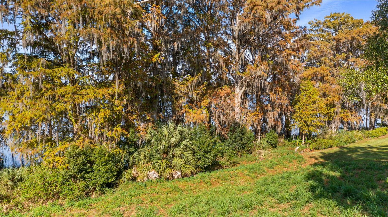 LAKE SWATARA DR, EUSTIS, FL — photo 60