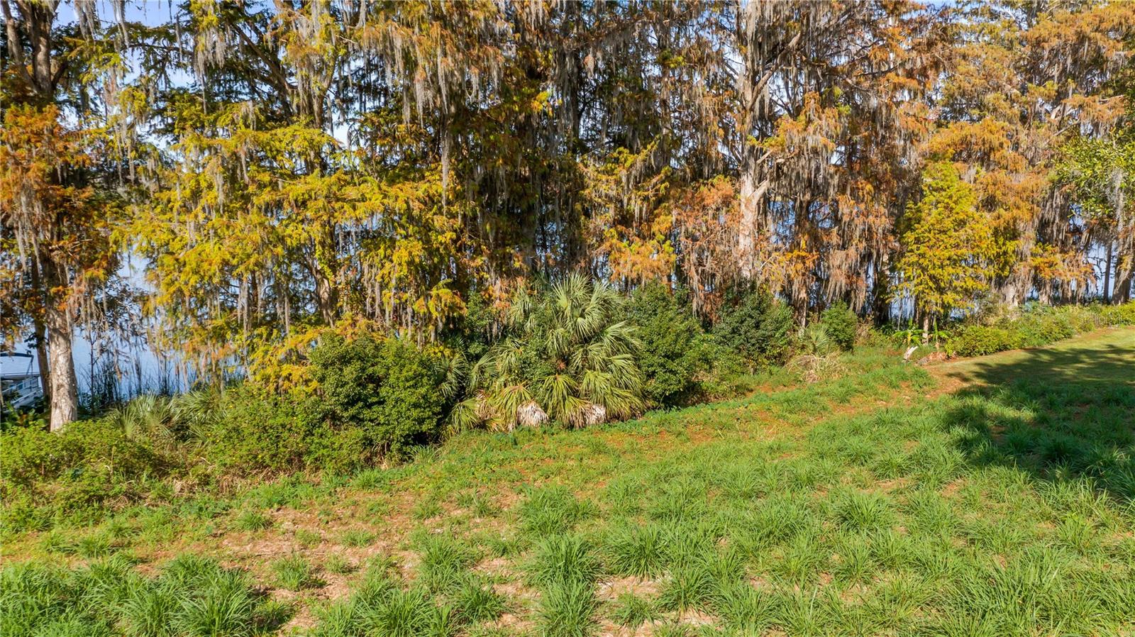 LAKE SWATARA DR, EUSTIS, FL — photo 61