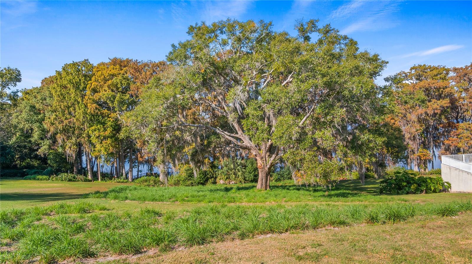 LAKE SWATARA DR, EUSTIS, FL — photo 74