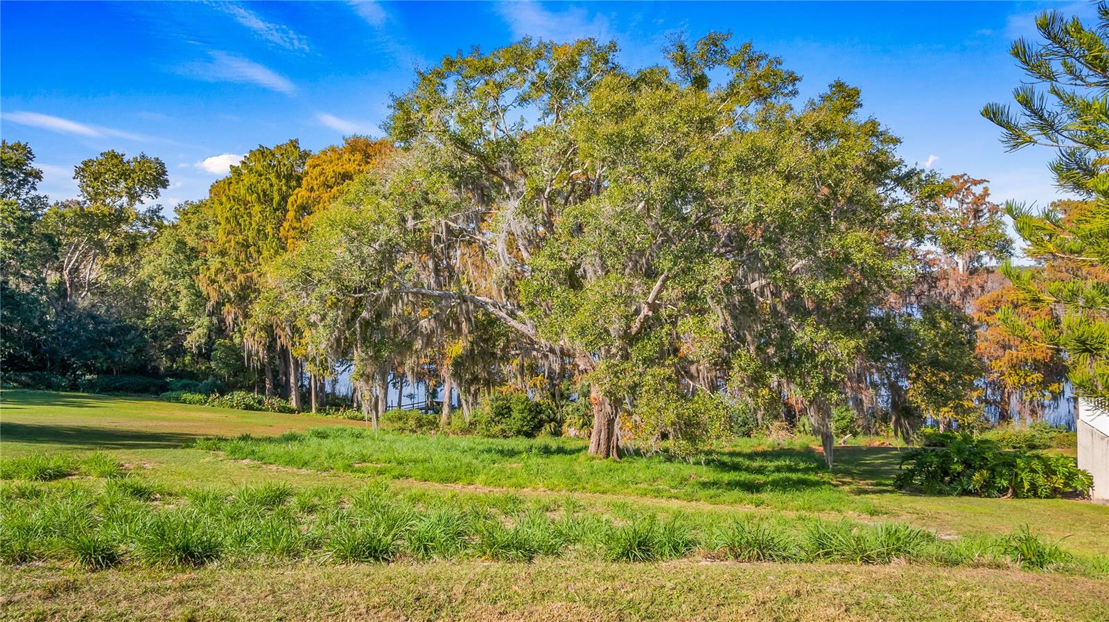 LAKE SWATARA DR, EUSTIS, FL — photo 78