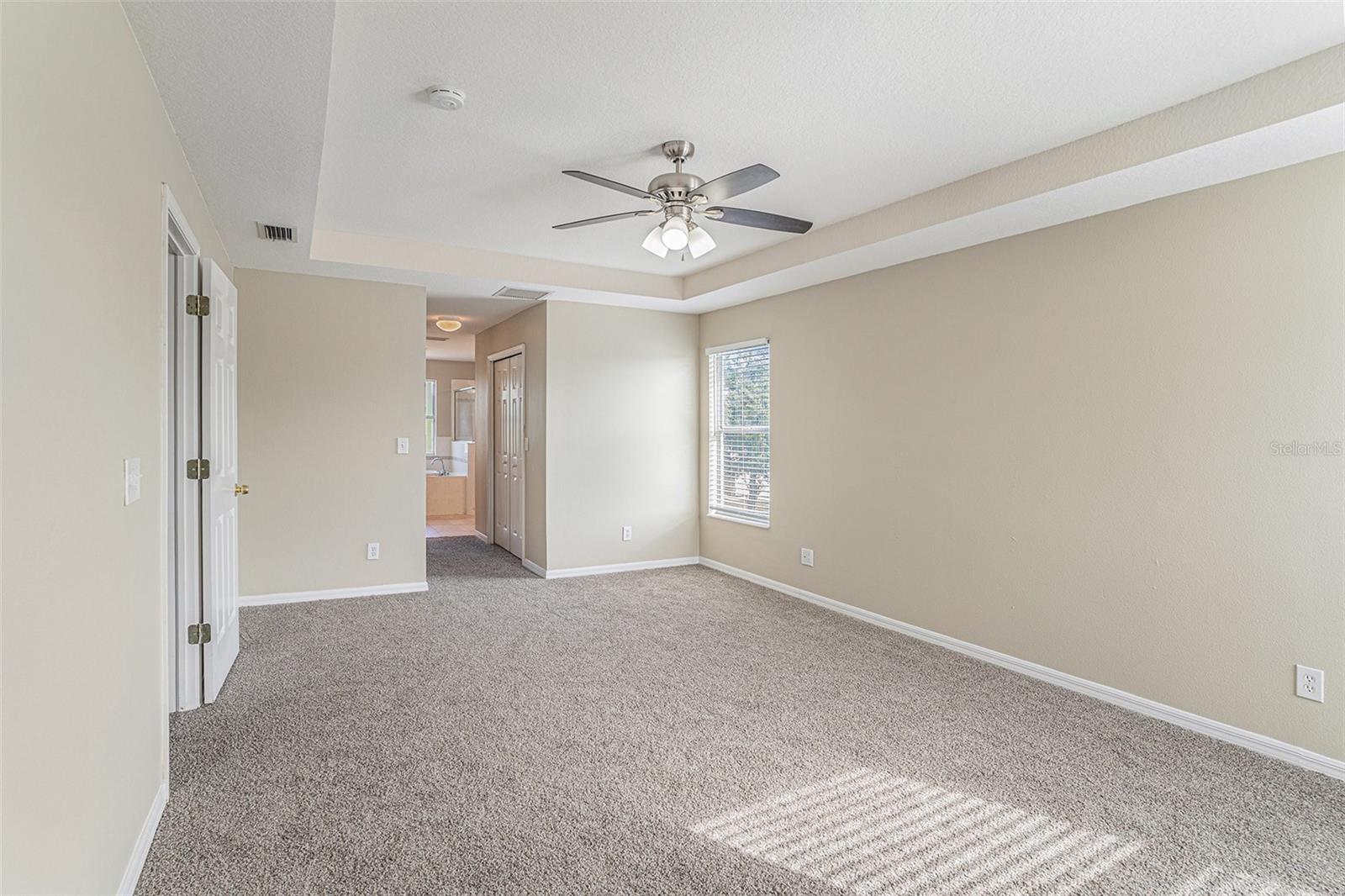 8602 SANDY PLAINS DR, RIVERVIEW, FL — photo 13