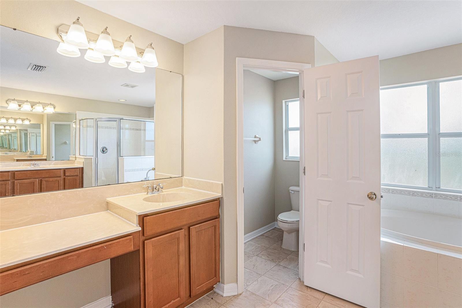8602 SANDY PLAINS DR, RIVERVIEW, FL — photo 16
