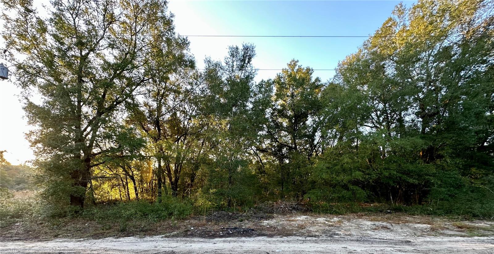 NW 16TH PL, OCALA, FL — photo 4