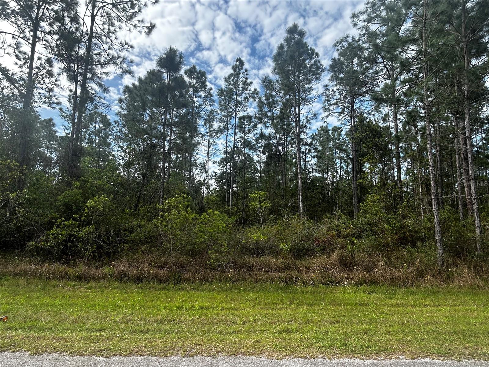207 GARDENIA DR, LAKE WALES, FL