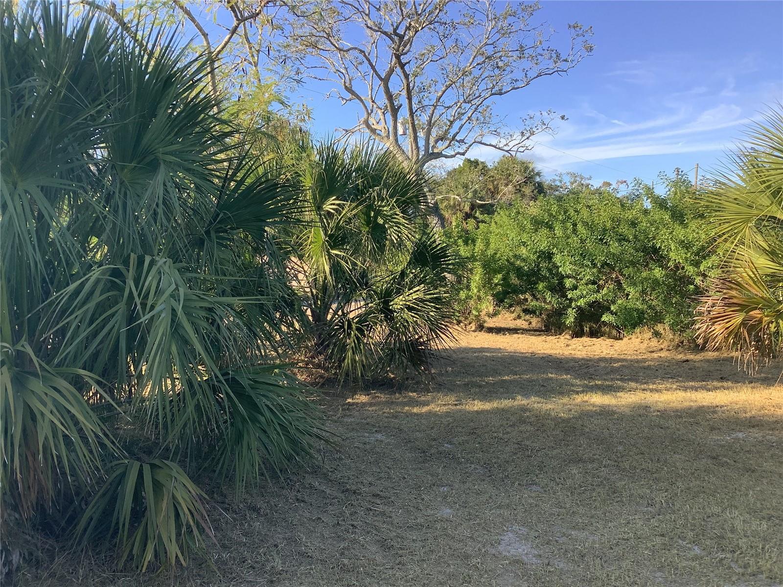 14144 PINE ST, HUDSON, FL — photo 11