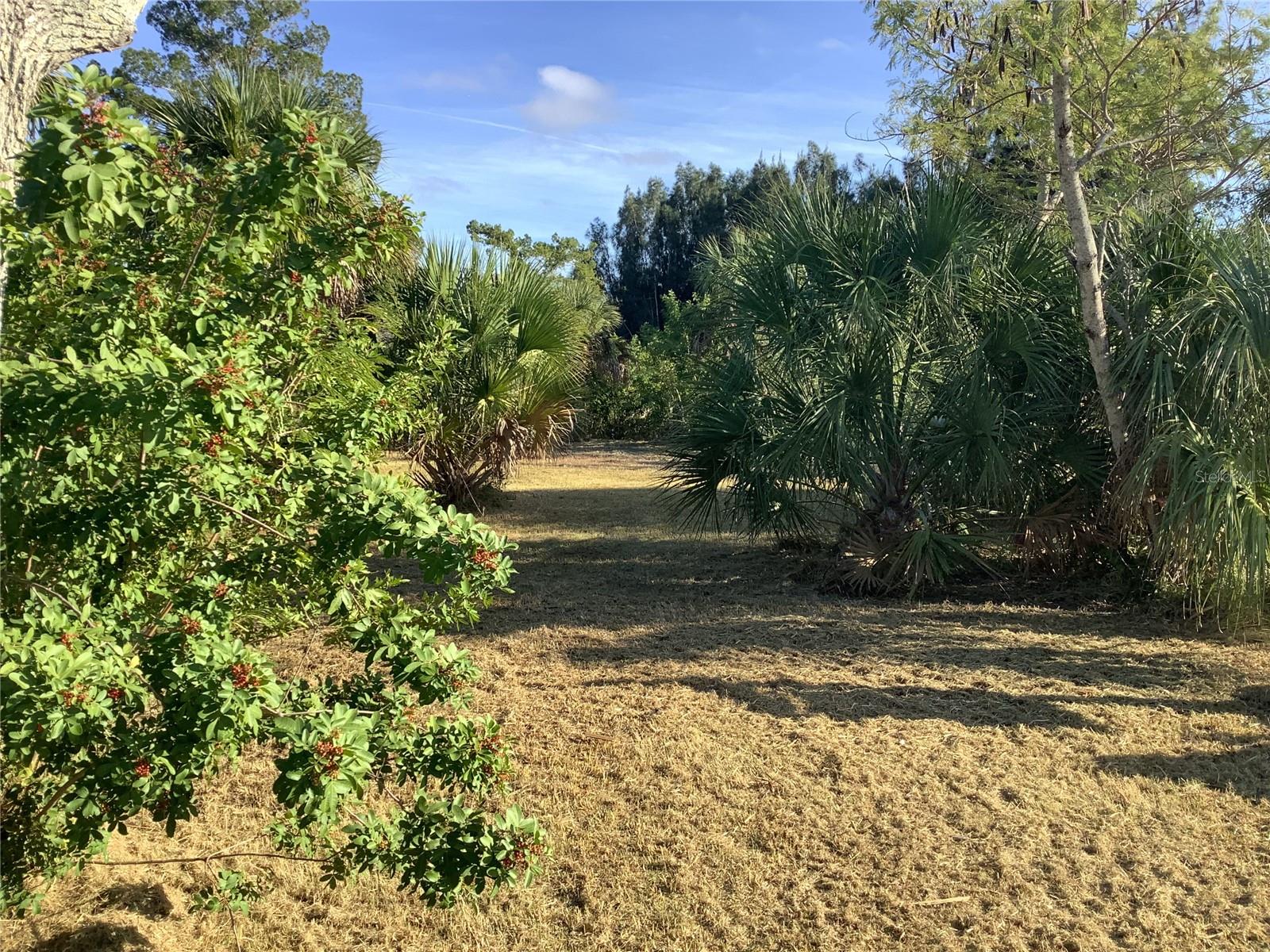 14144 PINE ST, HUDSON, FL — photo 14