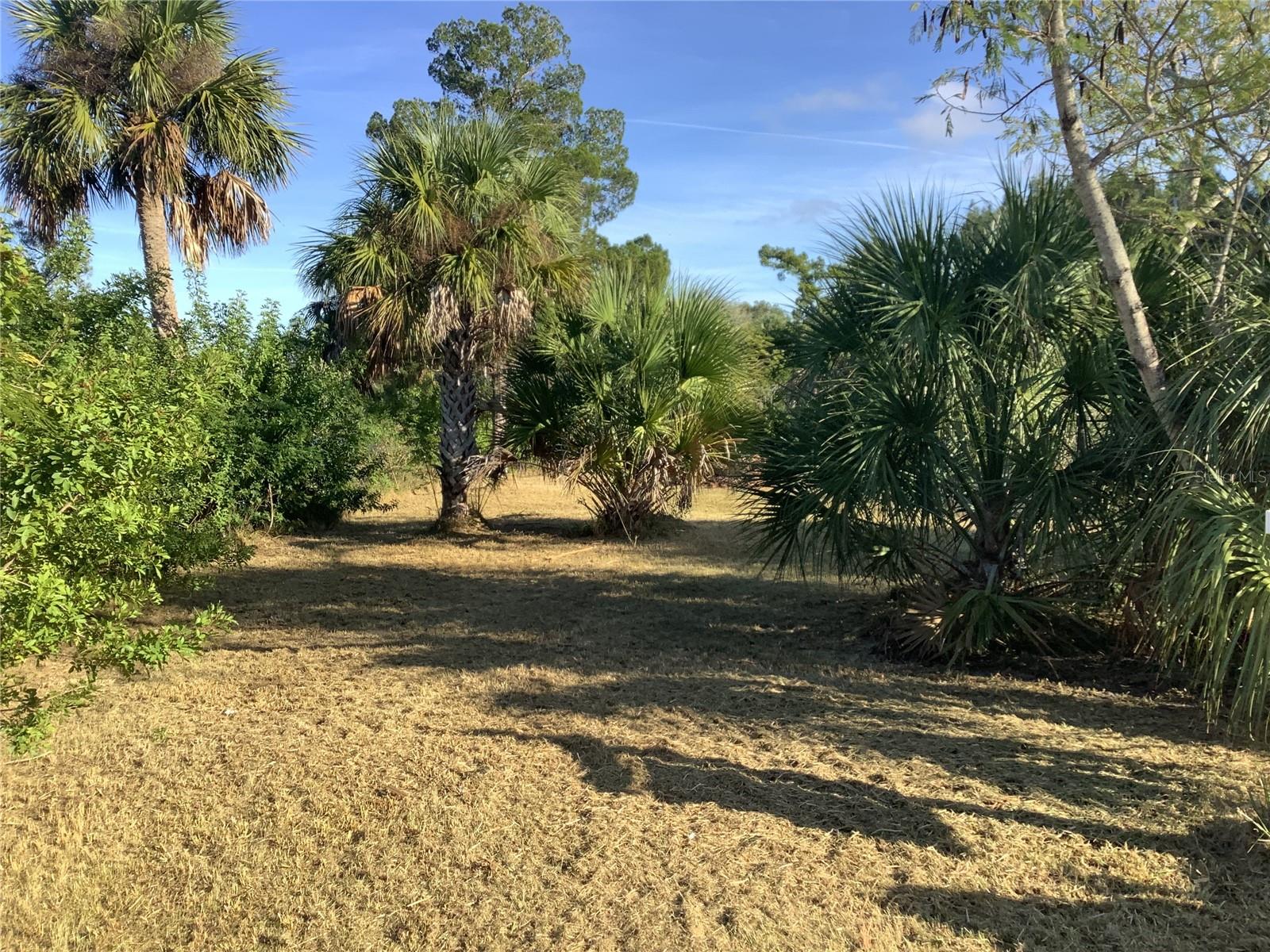14144 PINE ST, HUDSON, FL — photo 15