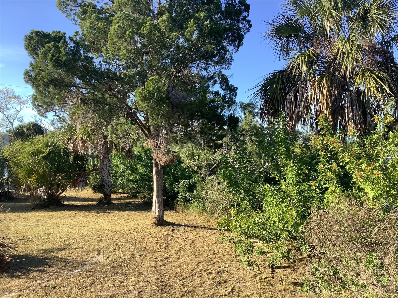 14144 PINE ST, HUDSON, FL — photo 24