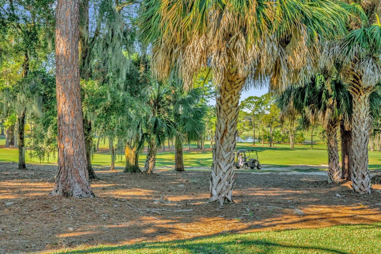 202 CAMINO REAL BLVD #202, HOWEY IN THE HILLS, FL — photo 32