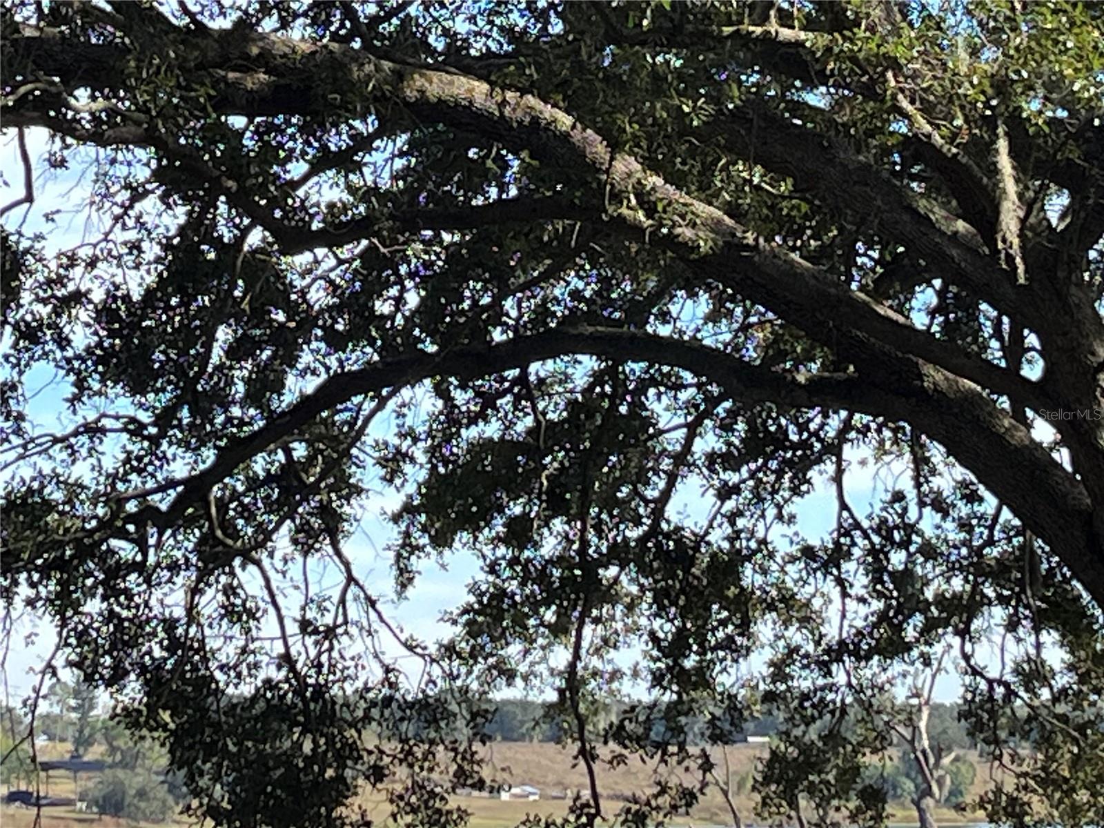 0 CENTRAL AVE, BARTOW, FL — photo 12