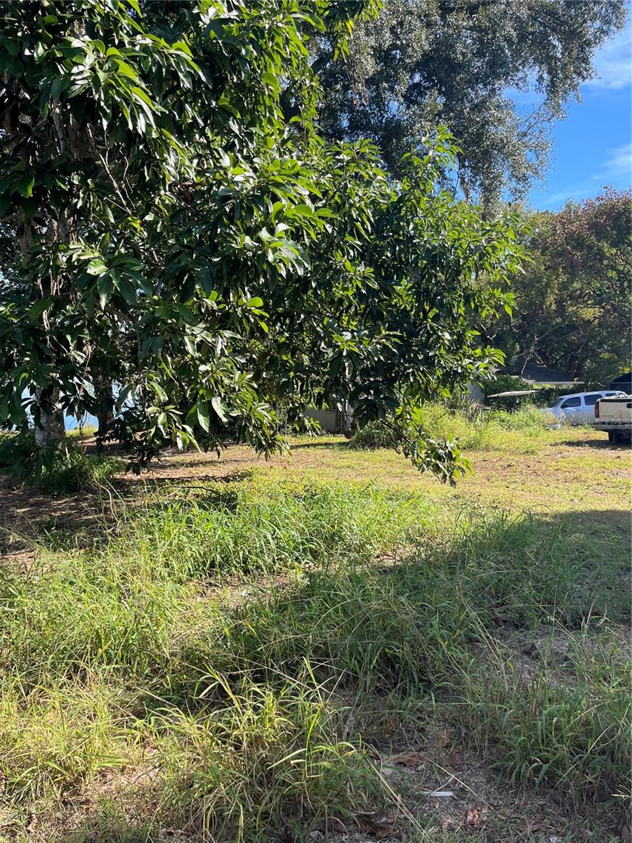 0 CENTRAL AVE, BARTOW, FL — photo 14