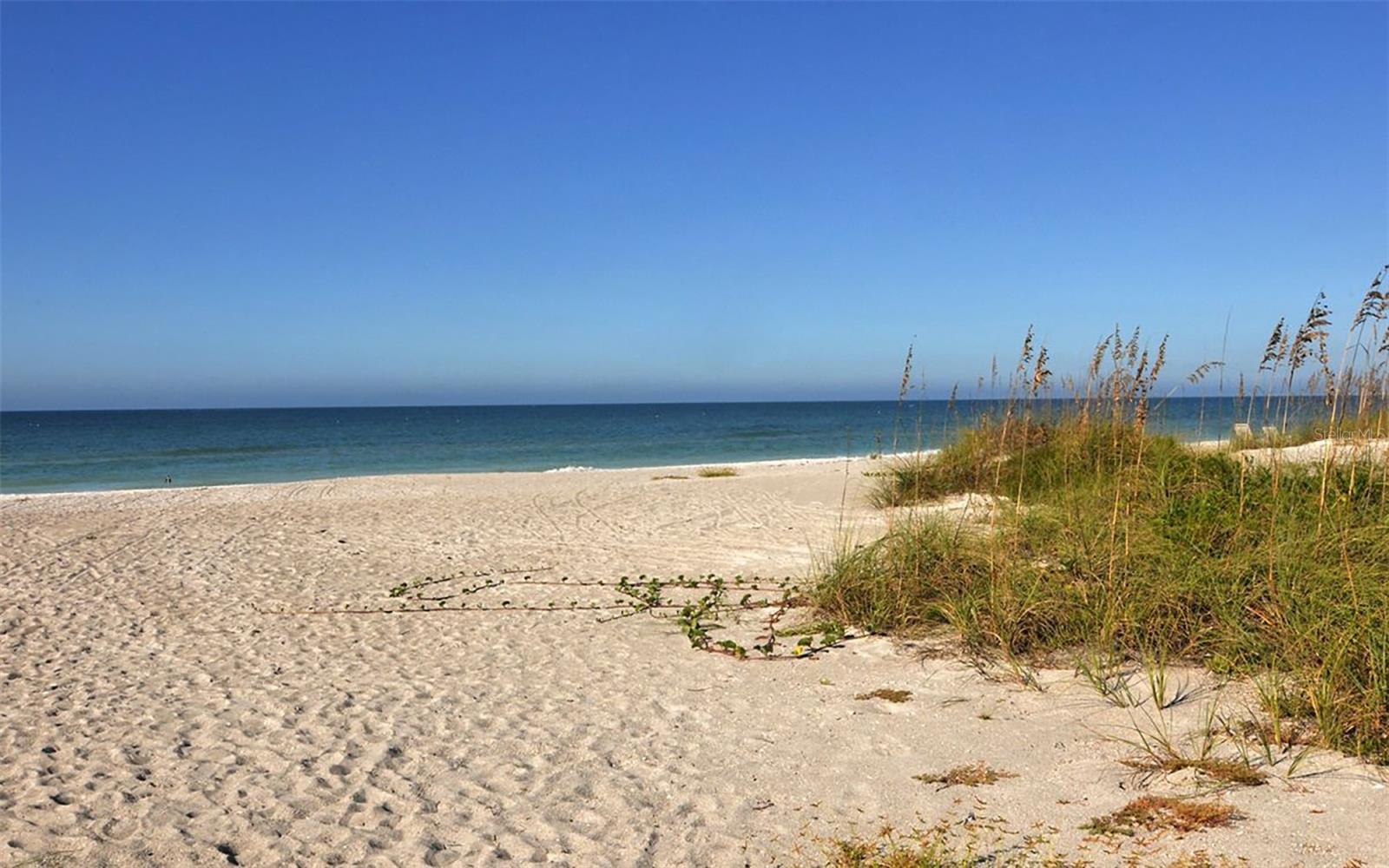 4561 GULF OF MEXICO DR #202, LONGBOAT KEY, FL — photo 65