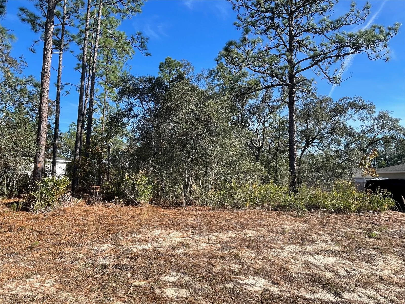 11475 N KENNEY LOOP, DUNNELLON, FL — photo 4