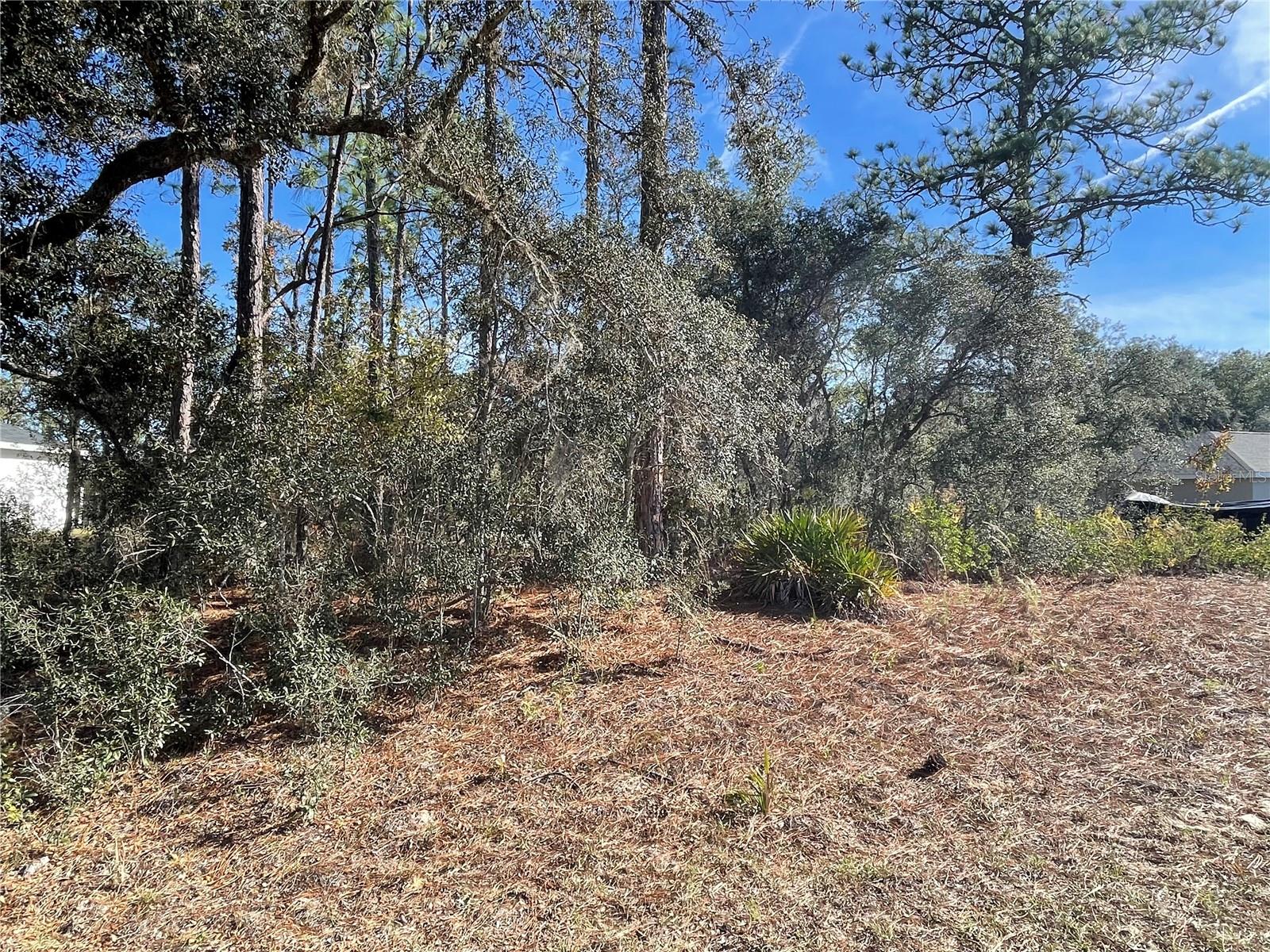 11475 N KENNEY LOOP, DUNNELLON, FL — photo 5