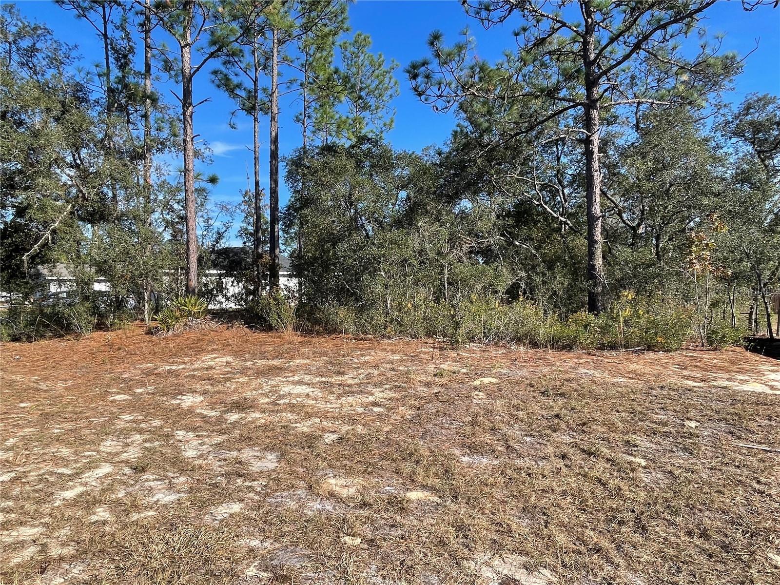 11475 N KENNEY LOOP, DUNNELLON, FL — photo 8