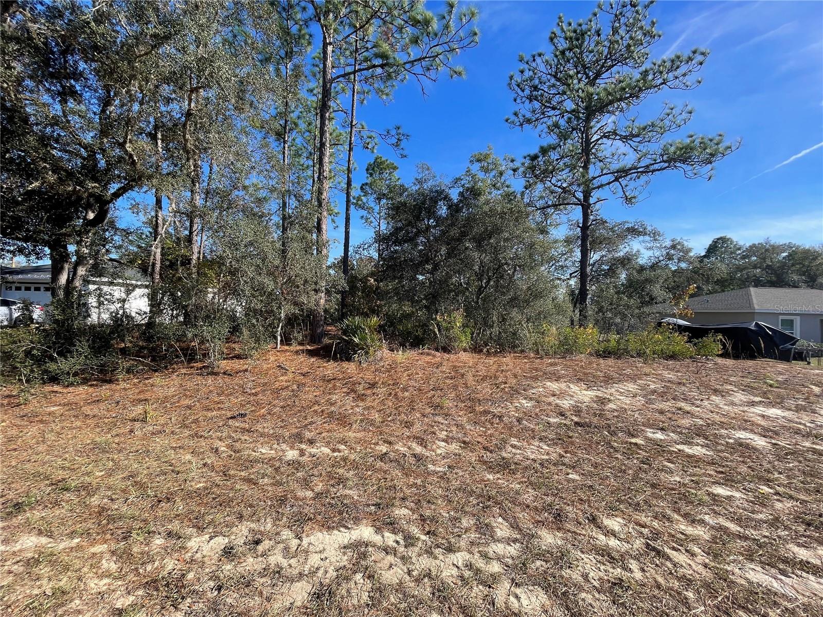 11475 N KENNEY LOOP, DUNNELLON, FL — photo 9