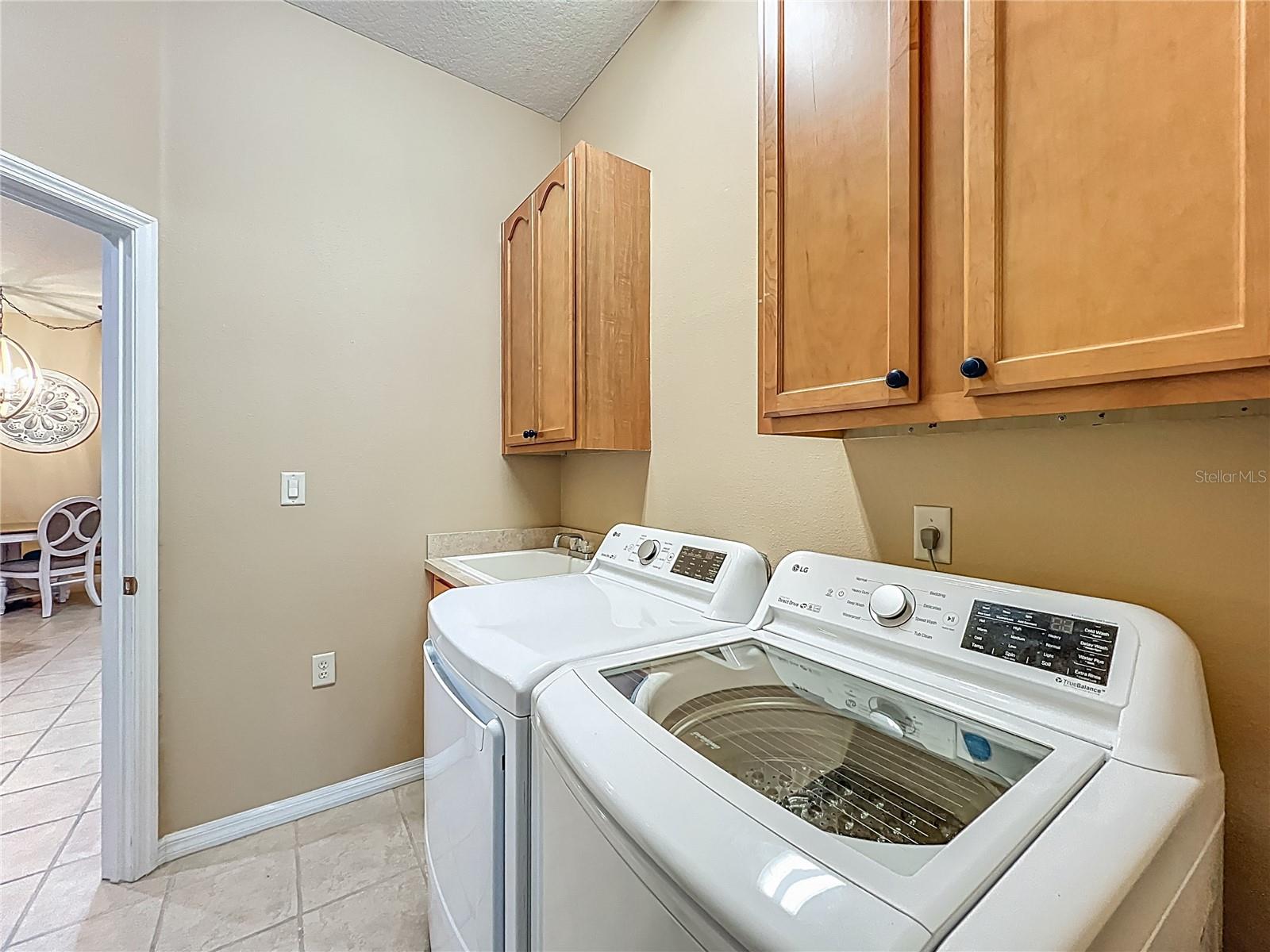 3605 MOUNT HOPE LOOP, LEESBURG, FL — photo 83