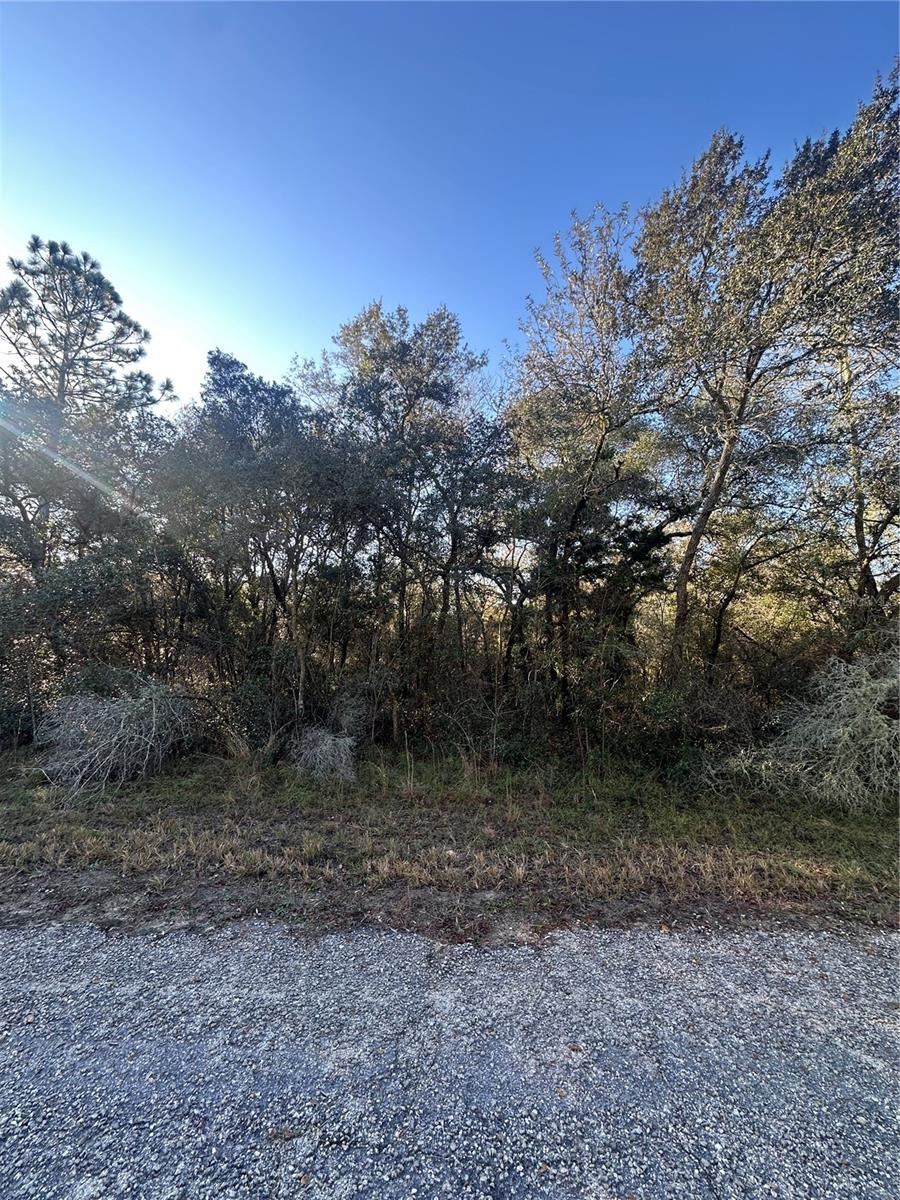 3908 W TROPIC LN, DUNNELLON, FL