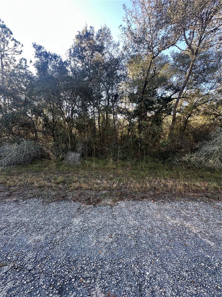 3908 W TROPIC LN, DUNNELLON, FL — photo 3