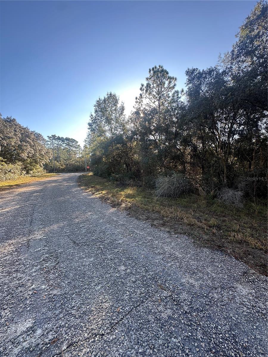 3908 W TROPIC LN, DUNNELLON, FL — photo 5