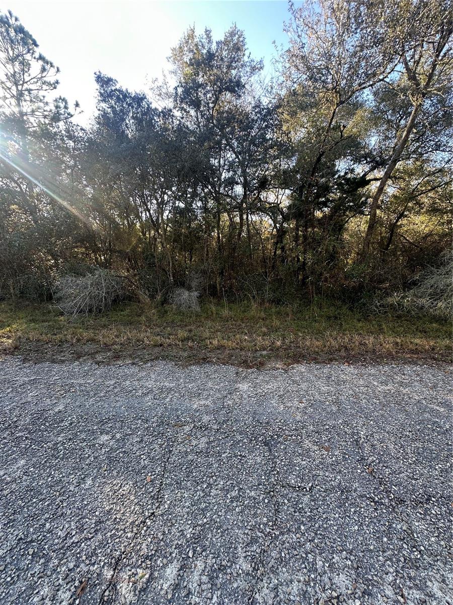 3908 W TROPIC LN, DUNNELLON, FL — photo 9